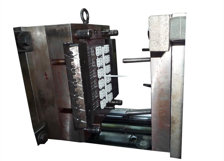 Switch Injection Mold